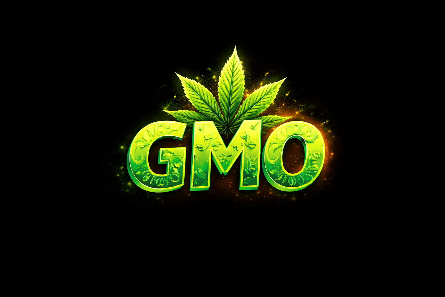 Gmo💪